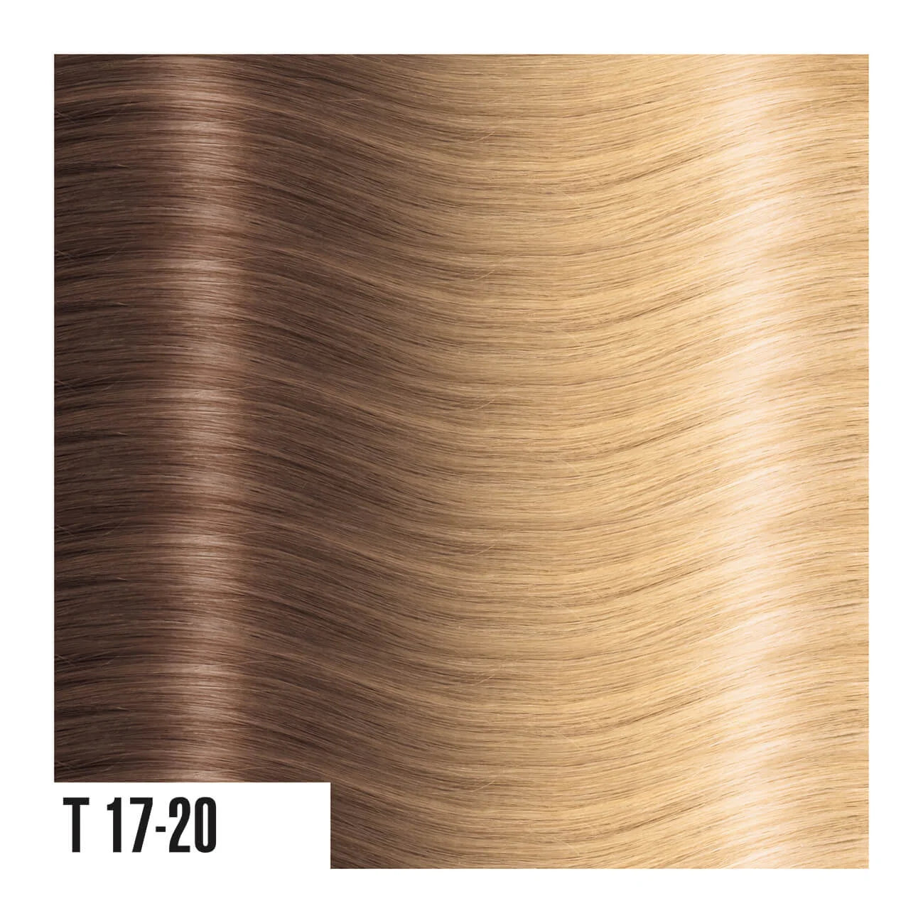 SHE 21" OMBRE